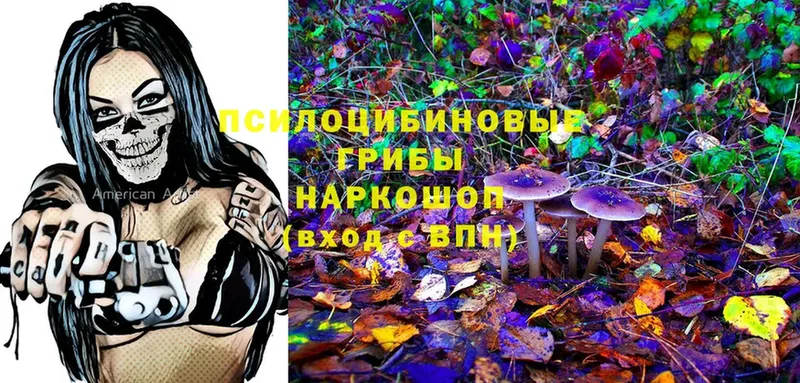 Галлюциногенные грибы MAGIC MUSHROOMS  MEGA ТОР  Володарск 